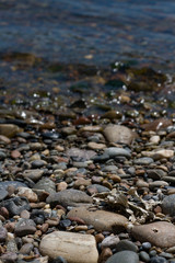 Rocky shore of the river. big stones under water on a cloudy day.