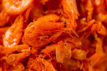 Sun dried shrimp Asian food