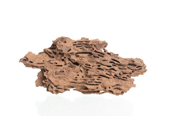 Piece of wood damaged and eaten by termite isolated on white