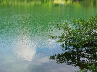 Thumsee