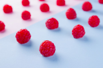 Pattern of raspberries on pink blue background. Colorful diet and healthy food concept. Background...