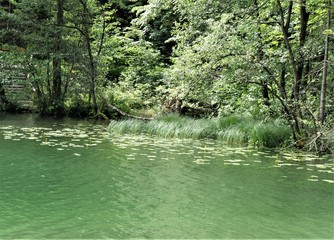 Thumsee