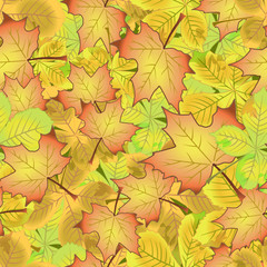 Naklejka na ściany i meble pattern seamless autumn leaves of maple and chestnut seamless background nature