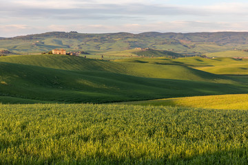 Fototapeta premium Geheimtip in der südlichen Toskana - San Quirico d'Orcia