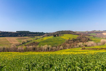 wonderful hilly landscape of the Tuscan countryside