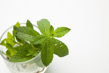 Hojas de menta; la menta es una hierba cuyas hojas tienen mucho aroma y un sabor extraordinario. Las hojas de la menta se utilizan en cocina, en pasteler&iacute;a, en cocteler&iacute;a, en medicina y en otras espec