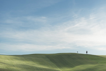 Obraz premium Siena - Das Herzstück der Toskana