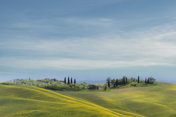 Fototapeta premium Siena - Das Herzstück der Toskana