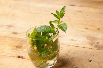 Hierba de la menta, hojas de menta en un vaso
