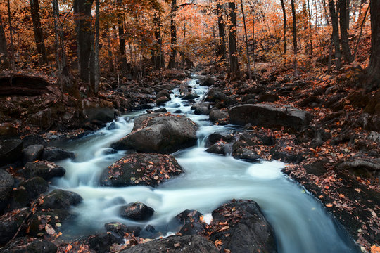 Strongly graded picture of a river flowing in autumn
