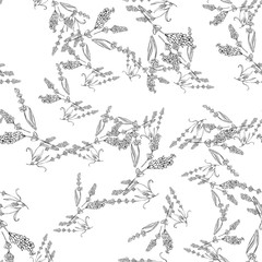 lavender natural hand drawn pattern white and black illustration. Herbal botanical  decoration background