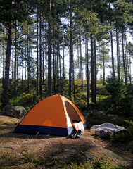 Tent in a forest in Sweden