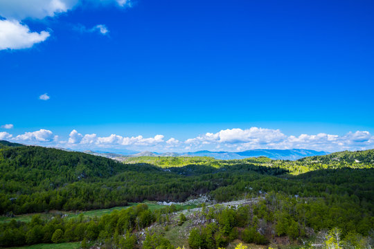 Montenegro, Green wideness of nature landscape full of green trees covering hilly and rocky country scenery near savnik in springtime with blue sky
