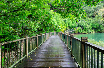 Fototapeta na wymiar Wooden walkway of the lakeside trail
