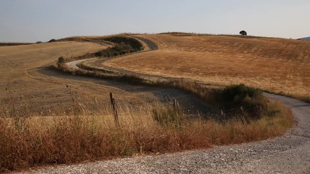 Strada di campagna