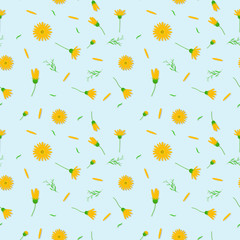 Obraz premium Yellow cosmos floral seamless pattern abstract background vector