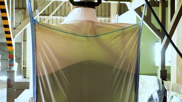 Cereal crops: rye, wheat, barley, are being poured into a big bag using modern equipment at factory. 4K