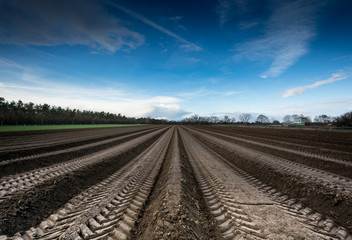 Ploughed field with tractor tracks