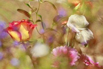 Festive romantic background with flowers in gentle haze. Suitable as postcard or greeting card.