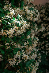 Alhambra paisaje albaycin pomo decoración árabe en Granada