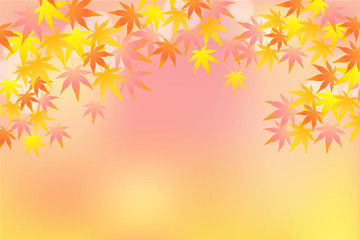 淡いピンク系の秋のカエデの葉