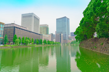 Fototapeta na wymiar 皇居周辺の風景(東京、日本)
