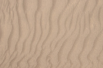 Fototapeta na wymiar yellow desert sand dunes texture natural background.abstact sand wave pattern