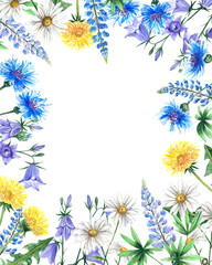 Wildflowers watercolor Botanical illustration leaves chamomile cornflower dandelion Lupin spring summer set for postcard design summer decoration design wedding invitation cards