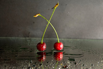 red cherry with water drops