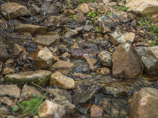 spring stream flows between large stones