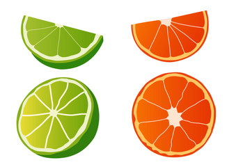 Lemon and Orange Half ball on white background  illustration Vector 