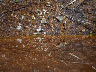 dirty brook and rusty water