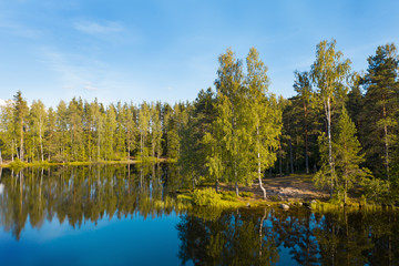 Obraz premium The shore of the lake in sunny summer weather in the water reflection of trees.