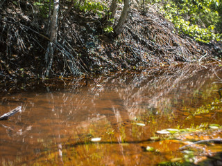 dirty brook and rusty water