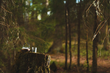 mug with a tea bag and a kettle on the stump in the forest in focus. Background blurred - Powered by Adobe