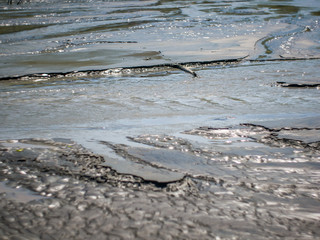 stream and puddles in mud