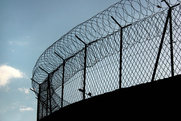 Silhouette of concertina barbed wire on a prison fence - obrazy, fototapety, plakaty