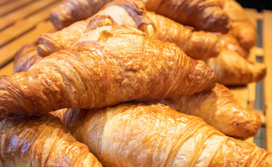 French croissants in a shop display, closeup view