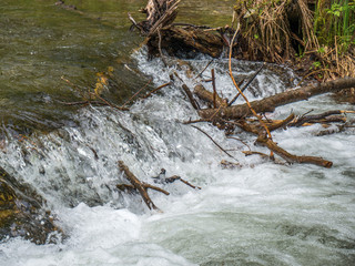 mountain river with clear water rapids and plants on the banks