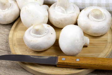 champignons