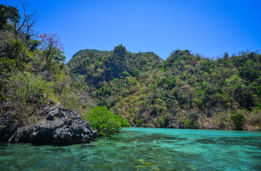 Obraz premium Landscape of tropical sea in summer