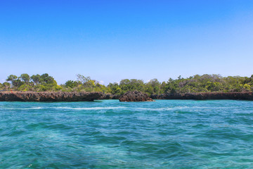 Beautiful lagoon and green trees