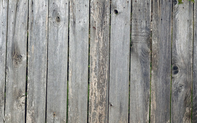 Grey color weathered wooden fence.