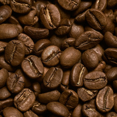 Roasted coffee beans background. Coffee beans closeup