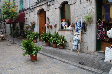 Obraz premium Pigeon on street of Valldemossa, West Coast, Mallorca, Spain
