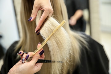 barber hand cuts hair close up. hand of hairdresser holding comb and scissors