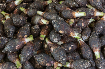 Raw fresh taro pile . Group of stcking raw Taro (Yautia Lila), close-up fresh japanese taro in fresh market. Pile of fresh taro root retail sale in supermarket.