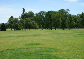large grass area in a park