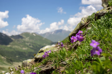 the Caucasus mountains Arkhyz in Sunny day