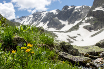 the Caucasus mountains Arkhyz in Sunny day